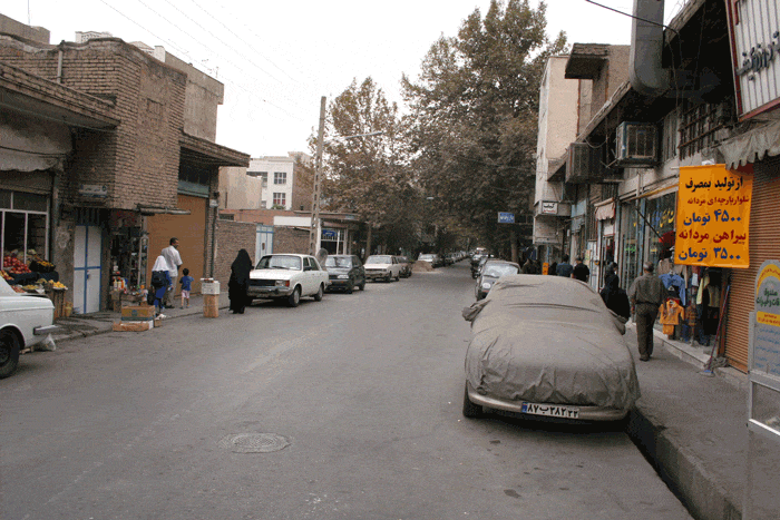 دسته گل بهترین شرکت نظافت منزل شمشیری تهران