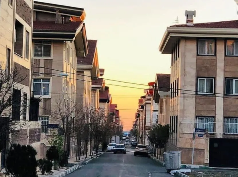 دسته گل بهترین شرکت نظافت منزل سرو آزاد تهران