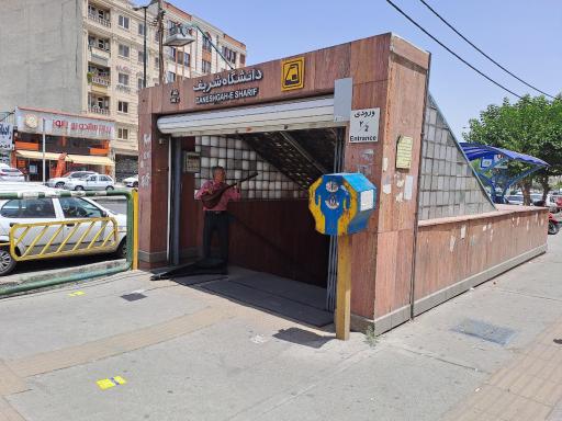 دسته گل بهترین شرکت نظافت منزل محله زنجان تهران